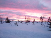 Lapland