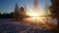 Winter in Lapland