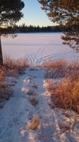 Winter in Lapland