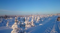 nog steeds winter in Lapland